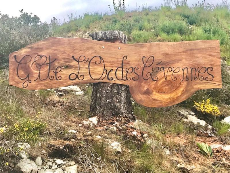 L'or Des Cevennes