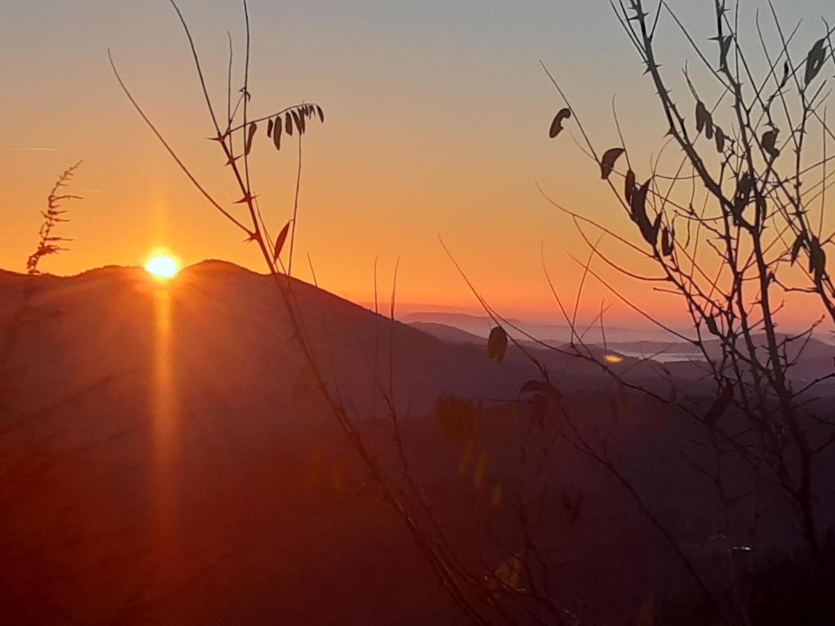 Holiday home L'or Des Cevennes Saint-Andre-Capceze