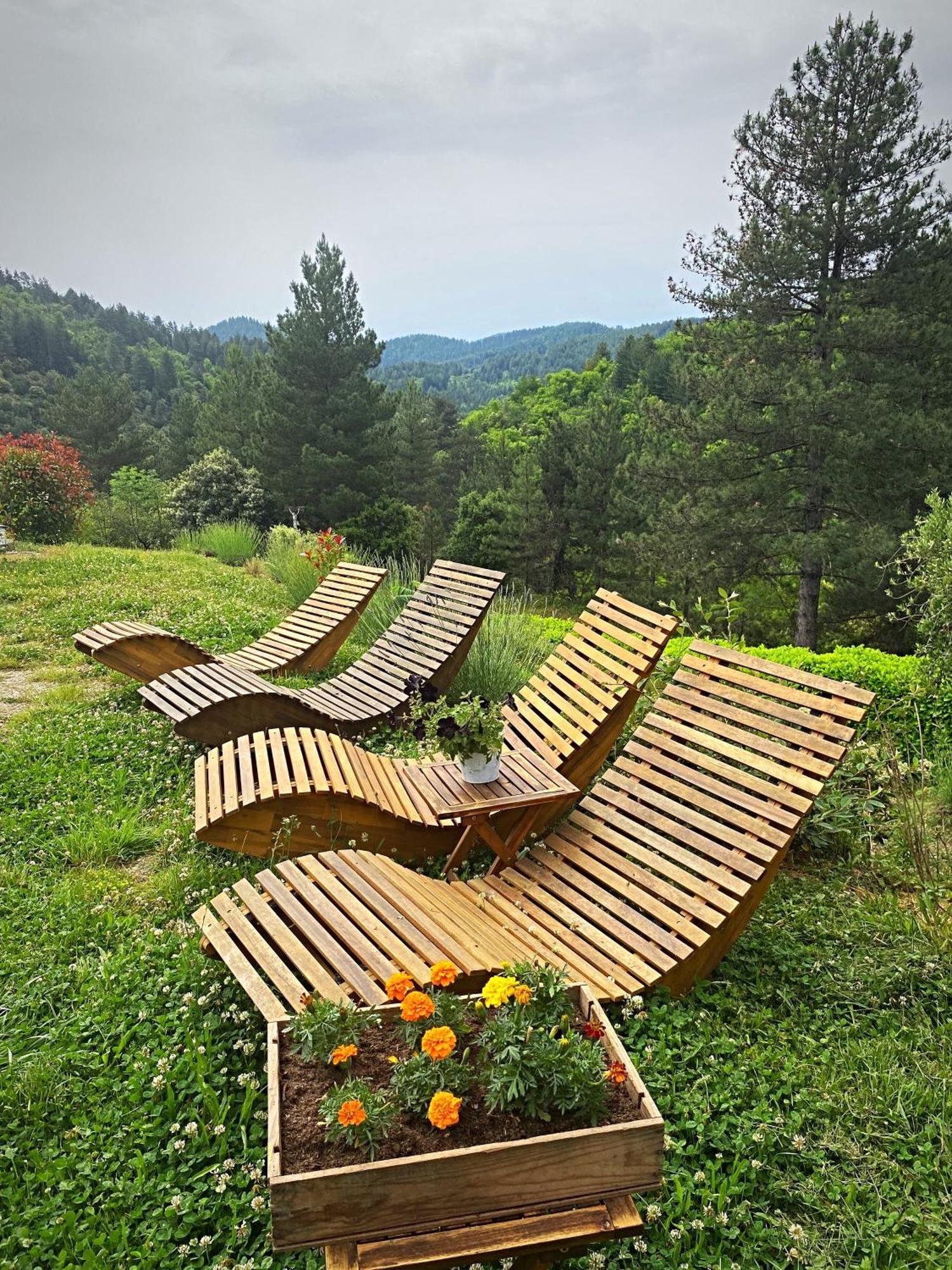 L'or Des Cevennes Holiday home *
