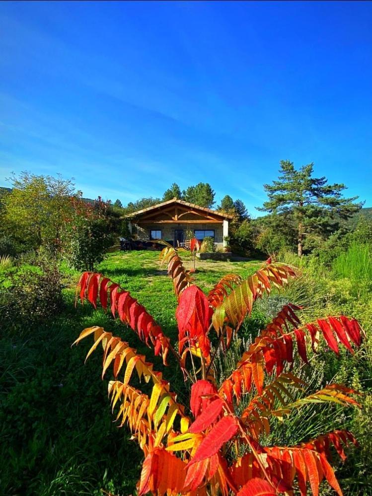 Holiday home L'or Des Cevennes Saint-Andre-Capceze